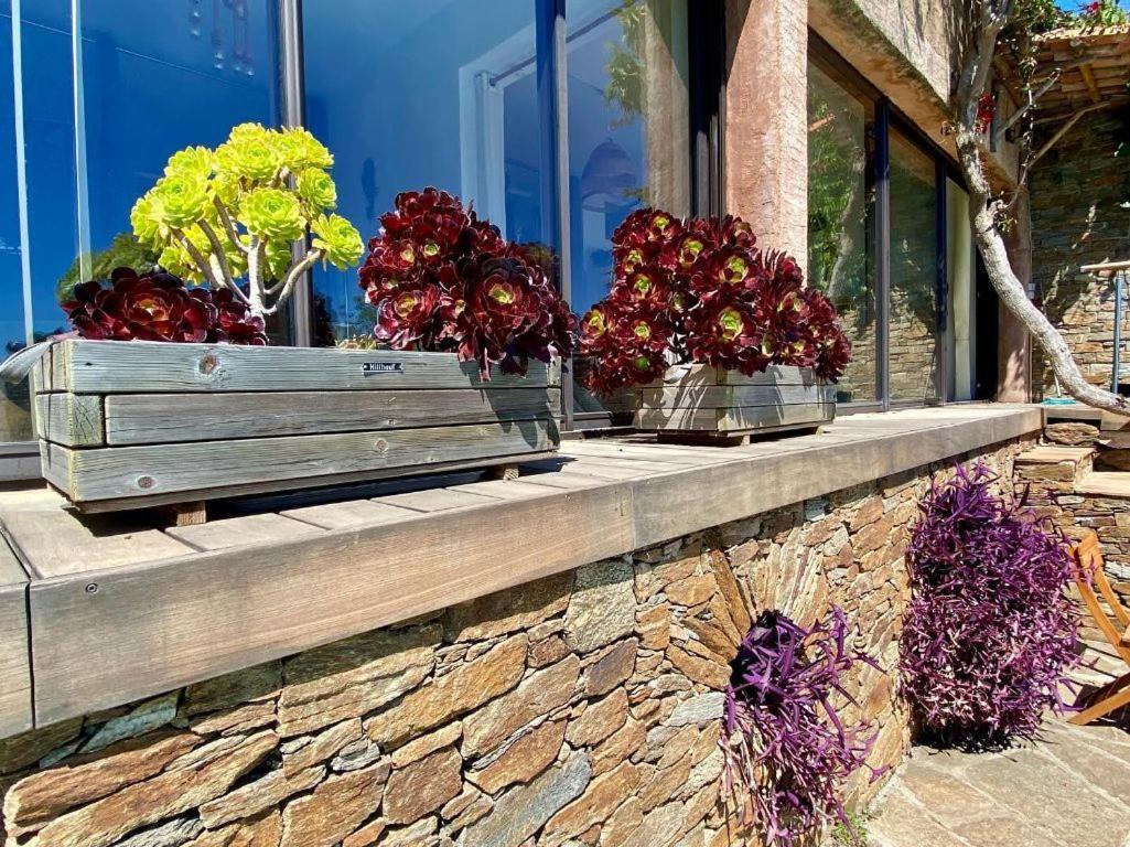 Les Alizes Apartment Le Rayol-Canadel-sur-Mer
